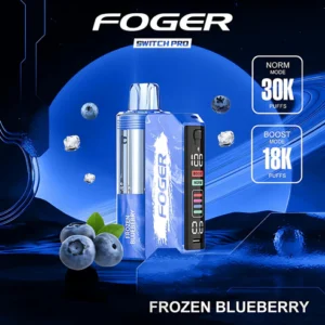 Foger Frozen Blueberry